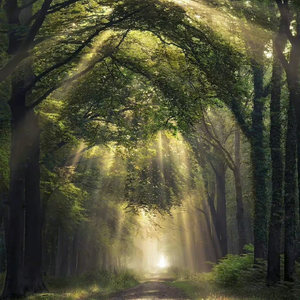 国产jizzjizz视频
